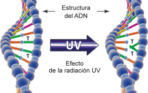Desinfección con Tecnología UV En Colombia
